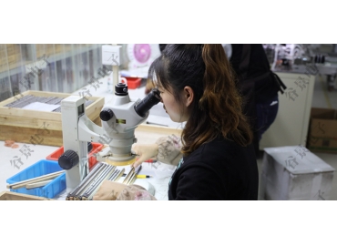 線圈電感溫度過高的原因有哪些